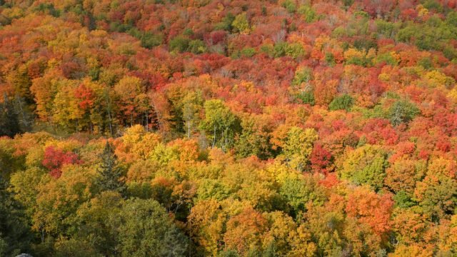 The view from Mystery Overlook